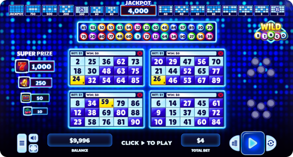 Casino Games Bingo Model by Numbers Image 2